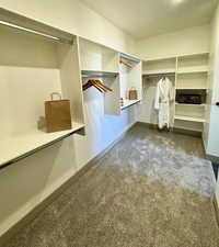 Spacious closet featuring dark colored carpet