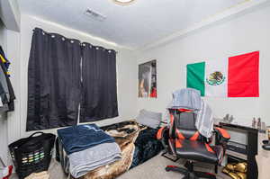 Carpeted bedroom featuring a textured ceiling