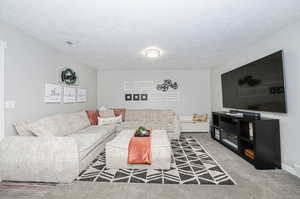 Living room featuring carpet floors and a textured ceiling