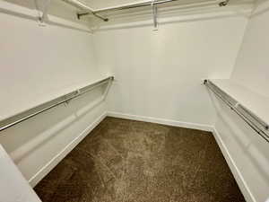 Walk in closet with carpet