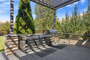 Luxury s.s. & granite countertop bbq/grill outdoor kitchen on back deck overlooking secluded backyard.