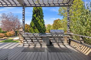 Luxury s.s. & granite countertop bbq/grill outdoor kitchen on back deck overlooking secluded backyard.