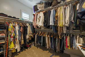 Carpeted "his & hers" walk-in closet w/ closet organizing shelves & racks.