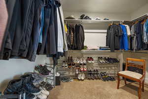 Carpeted "his & hers" walk-in closet w/ closet organizing shelves & racks.