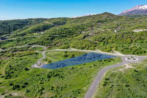 Aerial overview of property's location with a mountainous background and a heavily wooded area