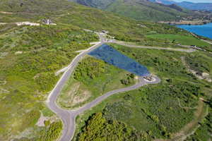 Drone / aerial view of a water and mountain view