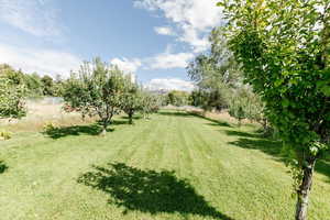 View of yard featuring a rural view