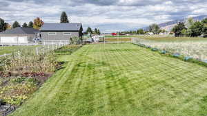 View of yard featuring a mountain view and a rural view