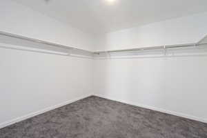 Walk in closet with carpet flooring