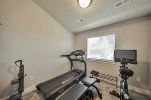 Exercise area featuring lofted ceiling and carpet flooring