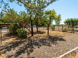 View of yard with a rural view