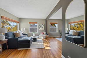 Living room featuring a healthy amount of sunlight, a textured ceiling, and wood-type flooring