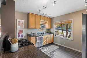 Kitchen with light brown cabinets, track lighting, sink, dark hardwood / wood-style flooring, and stainless steel appliances