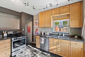 Kitchen with light brown cabinetry, stainless steel appliances, dark hardwood / wood-style floors, and sink