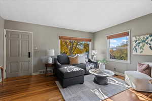 Living room featuring wood-type flooring and a textured ceiling