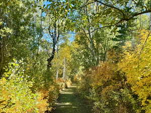 Looking down along road above lots