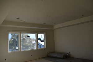 Spare room featuring a raised ceiling and carpet