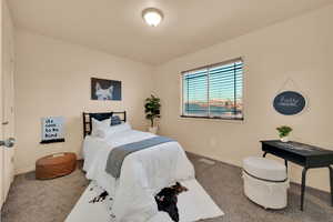 Bedroom with carpet flooring