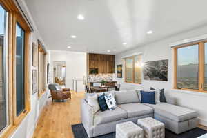 Living room with light wood-type flooring and plenty of natural light