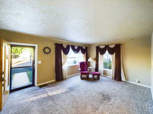 Unfurnished room featuring a textured ceiling, carpet flooring, and plenty of natural light