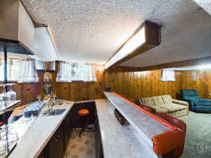 Bar with wood walls, a textured ceiling, carpet flooring, and sink