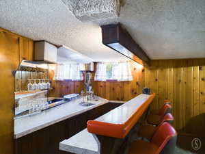 Bar featuring carpet floors, a textured ceiling, and wooden walls