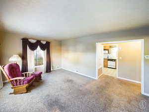 Unfurnished room with light colored carpet