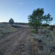 View of road with a rural view