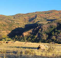 View of mountain feature