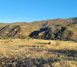 Mountain view featuring a rural view