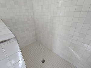 Room details with tiled shower