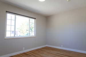 Empty room with a wealth of natural light and wood-type flooring