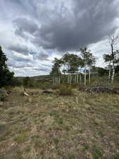 View of yard featuring a rural view