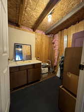 Basement featuring wood walls and sink