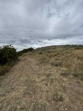 View of local wilderness