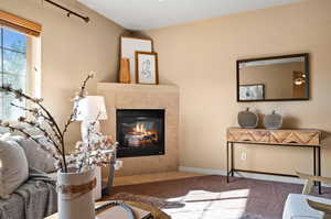 Gas Fireplace