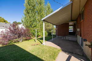 covered patio & back yard