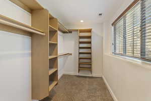 Spacious closet featuring carpet floors