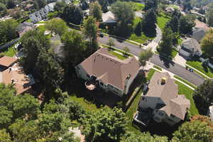 Aerial View of Back/Side Yard