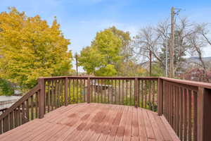 Trex deck off kitchen area