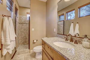 Bathroom featuring a tile shower, vanity, toilet, and plenty of natural light