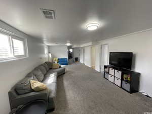 Living room with carpet floors