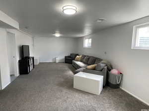 Living room with dark colored carpet