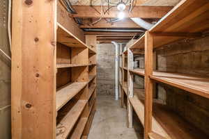 Basement storage with tons of shelving