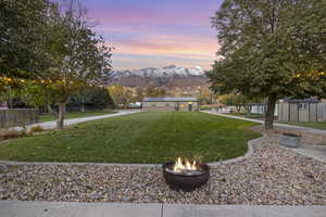 View from patio to detached building