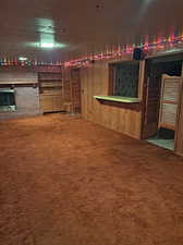 Basement Family Room