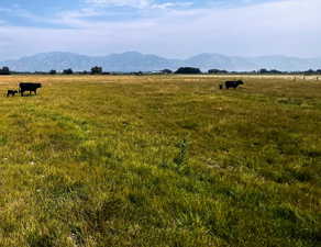 Property view of mountains with a rural view