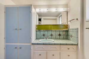 Lower level bathroom with ample storage