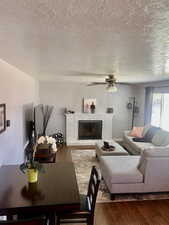 Living room featuring a textured ceiling, a fireplace, and dark wood-type flooring