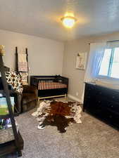 Carpeted bedroom featuring a textured ceiling